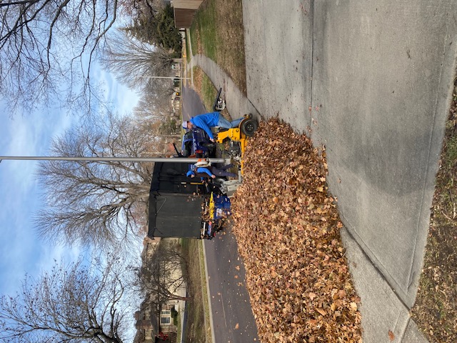 Hassle-free Leaf Clean-up in Overland Park, Kansas