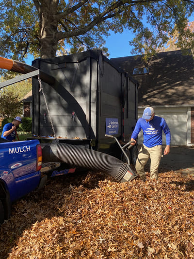 Leaf Removal